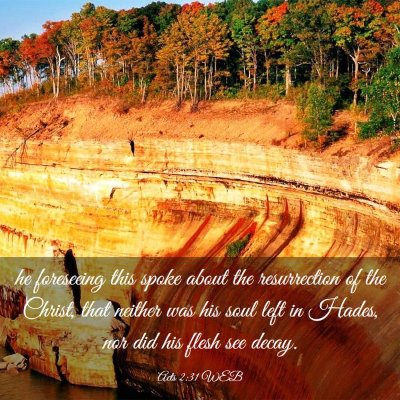 Picture 03 - Acts 2:31 WEB - he foreseeing this spoke about the resurrection - Bible Verse Picture