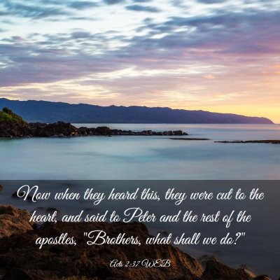 Picture 03 - Acts 2:37 WEB - Now when they heard this, they were cut to the - Bible Verse Picture