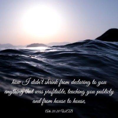 Picture 03 - Acts 20:20 WEB - how I didn't shrink from declaring to you - Bible Verse Picture