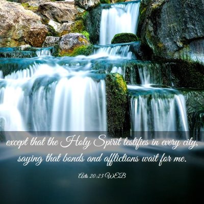 Picture 03 - Acts 20:23 WEB - except that the Holy Spirit testifies in every - Bible Verse Picture