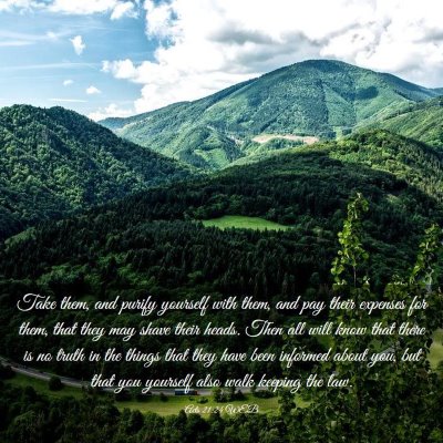 Picture 03 - Acts 21:24 WEB - Take them, and purify yourself with them, and pay - Bible Verse Picture