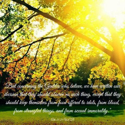 Picture 03 - Acts 21:25 WEB - But concerning the Gentiles who believe, we have - Bible Verse Picture