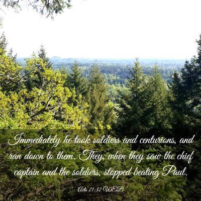 Picture 03 - Acts 21:32 WEB - Immediately he took soldiers and centurions, and - Bible Verse Picture