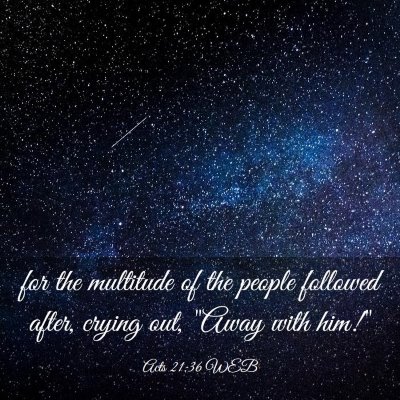Picture 03 - Acts 21:36 WEB - for the multitude of the people followed after, - Bible Verse Picture