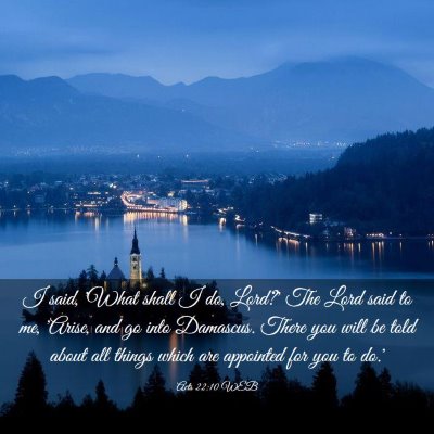 Picture 03 - Acts 22:10 WEB - I said, 'What shall I do, Lord?' The Lord said to - Bible Verse Picture