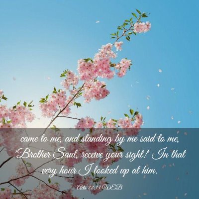 Picture 03 - Acts 22:13 WEB - came to me, and standing by me said to me, - Bible Verse Picture