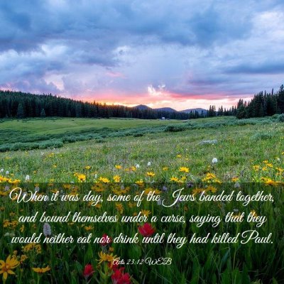 Picture 03 - Acts 23:12 WEB - When it was day, some of the Jews banded - Bible Verse Picture