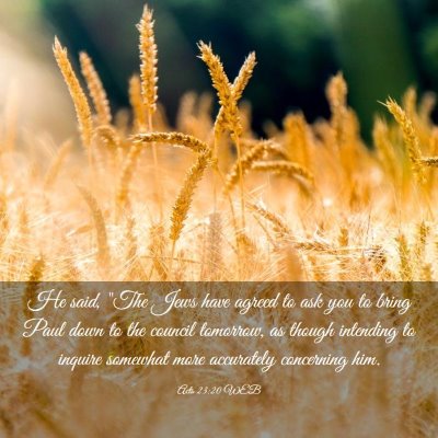 Picture 03 - Acts 23:20 WEB - He said, 