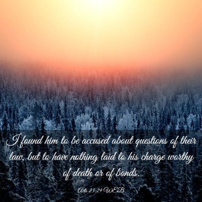 Picture 03 - Acts 23:29 WEB - I found him to be accused about questions of - Bible Verse Picture