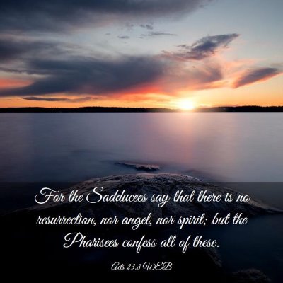 Picture 03 - Acts 23:8 WEB - For the Sadducees say that there is no - Bible Verse Picture