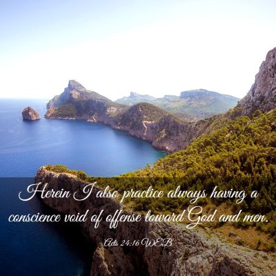 Picture 03 - Acts 24:16 WEB - Herein I also practice always having a conscience - Bible Verse Picture