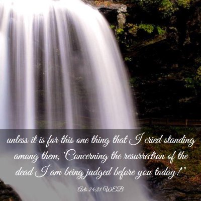 Picture 03 - Acts 24:21 WEB - unless it is for this one thing that I cried - Bible Verse Picture