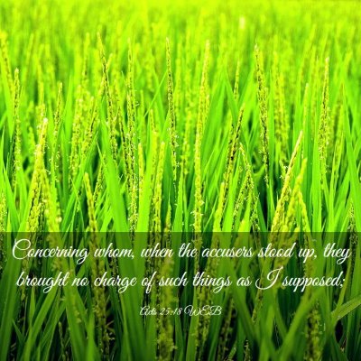 Picture 03 - Acts 25:18 WEB - Concerning whom, when the accusers stood up, they - Bible Verse Picture