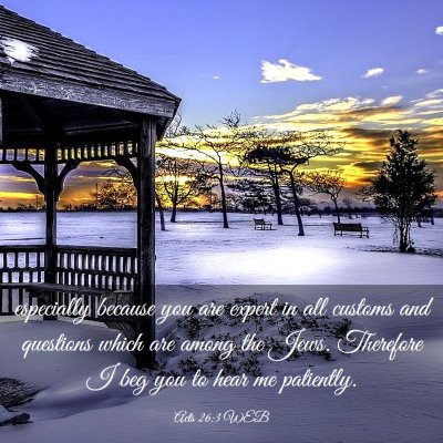 Picture 03 - Acts 26:3 WEB - especially because you are expert in all customs - Bible Verse Picture