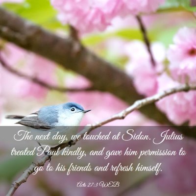 Picture 03 - Acts 27:3 WEB - The next day, we touched at Sidon. Julius treated - Bible Verse Picture