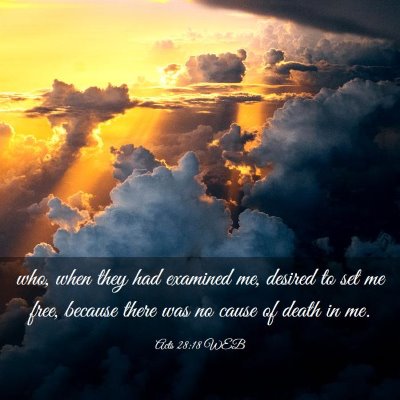 Picture 03 - Acts 28:18 WEB - who, when they had examined me, desired to set me - Bible Verse Picture