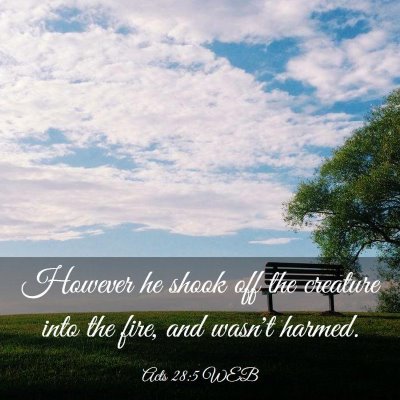 Picture 03 - Acts 28:5 WEB - However he shook off the creature into the fire, - Bible Verse Picture