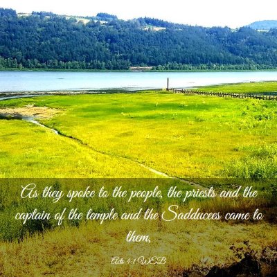 Picture 03 - Acts 4:1 WEB - As they spoke to the people, the priests and the - Bible Verse Picture