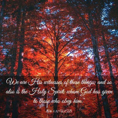 Picture 03 - Acts 5:32 WEB - We are His witnesses of these things; and so also - Bible Verse Picture