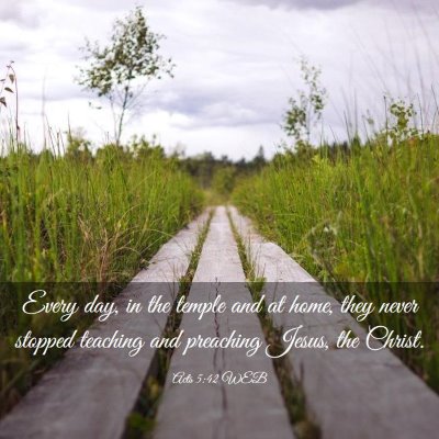 Picture 03 - Acts 5:42 WEB - Every day, in the temple and at home, they never - Bible Verse Picture