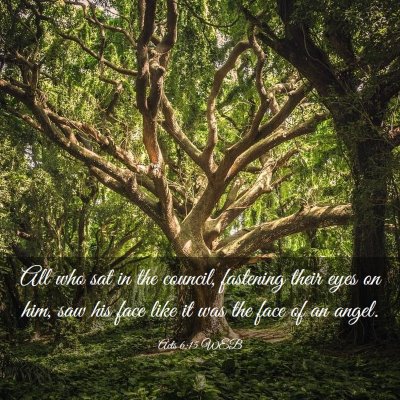 Picture 03 - Acts 6:15 WEB - All who sat in the council, fastening their eyes - Bible Verse Picture