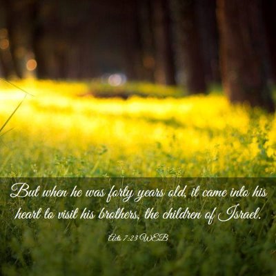 Picture 03 - Acts 7:23 WEB - But when he was forty years old, it came into his - Bible Verse Picture