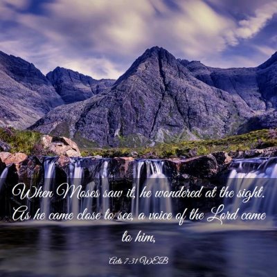Picture 03 - Acts 7:31 WEB - When Moses saw it, he wondered at the sight. As - Bible Verse Picture