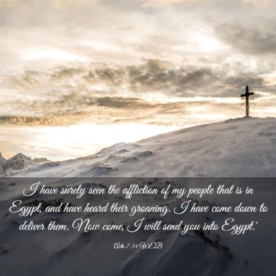 Picture 03 - Acts 7:34 WEB - I have surely seen the affliction of my people - Bible Verse Picture