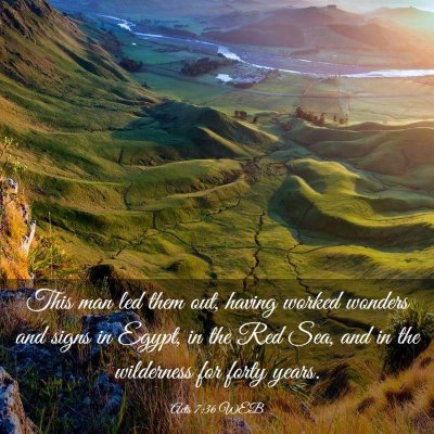Picture 03 - Acts 7:36 WEB - This man led them out, having worked wonders and - Bible Verse Picture