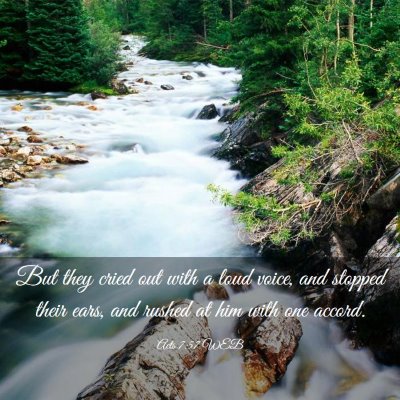 Picture 03 - Acts 7:57 WEB - But they cried out with a loud voice, and stopped - Bible Verse Picture