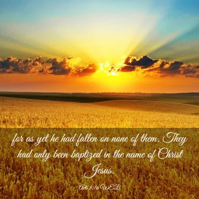Picture 03 - Acts 8:16 WEB - for as yet he had fallen on none of them. They - Bible Verse Picture