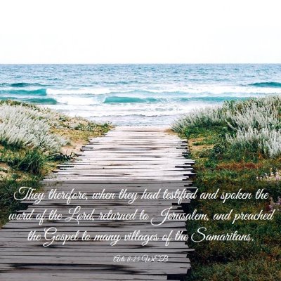 Picture 03 - Acts 8:25 WEB - They therefore, when they had testified and - Bible Verse Picture