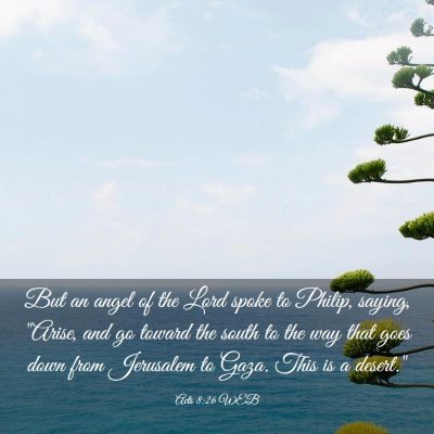 Picture 03 - Acts 8:26 WEB - But an angel of the Lord spoke to Philip, saying, - Bible Verse Picture