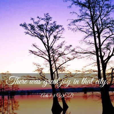Picture 03 - Acts 8:8 WEB - There was great joy in that - Bible Verse Picture