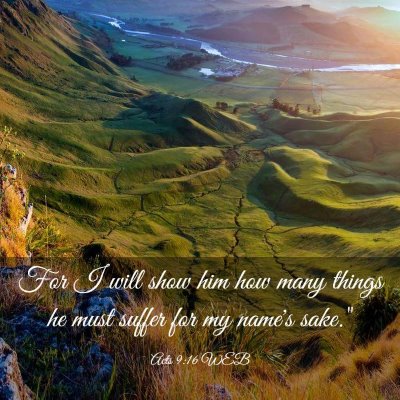 Picture 03 - Acts 9:16 WEB - For I will show him how many things he must - Bible Verse Picture