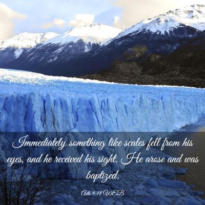 Picture 03 - Acts 9:18 WEB - Immediately something like scales fell from his - Bible Verse Picture