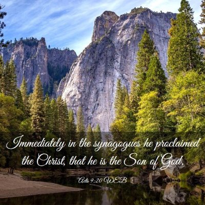 Picture 03 - Acts 9:20 WEB - Immediately in the synagogues he proclaimed the - Bible Verse Picture