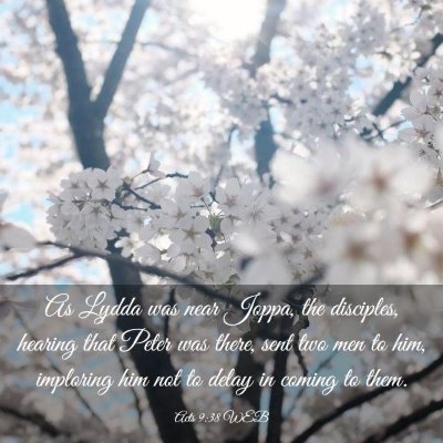 Picture 03 - Acts 9:38 WEB - As Lydda was near Joppa, the disciples, hearing - Bible Verse Picture