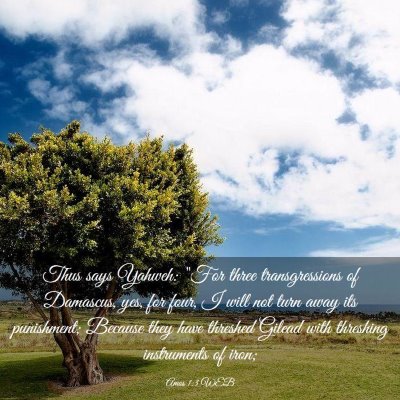 Picture 03 - Amos 1:3 WEB - Thus says Yahweh: 