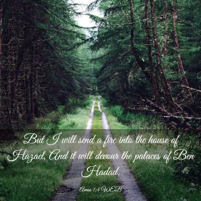 Picture 03 - Amos 1:4 WEB - But I will send a fire into the house of Hazael, - Bible Verse Picture