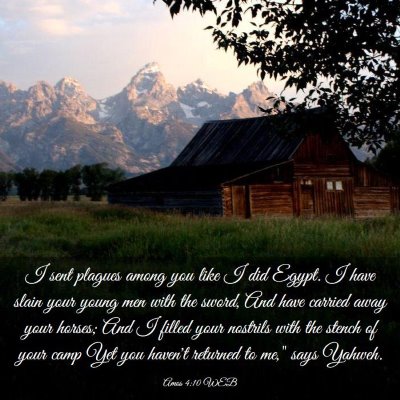 Picture 03 - Amos 4:10 WEB - I sent plagues among you like I did Egypt. I have - Bible Verse Picture