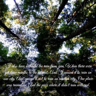 Picture 03 - Amos 4:7 WEB - 