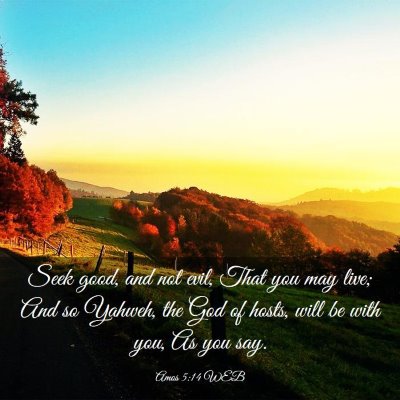 Picture 03 - Amos 5:14 WEB - Seek good, and not evil, That you may live; And - Bible Verse Picture