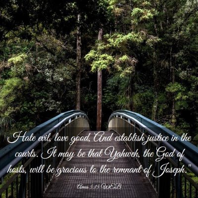 Picture 03 - Amos 5:15 WEB - Hate evil, love good, And establish justice in - Bible Verse Picture