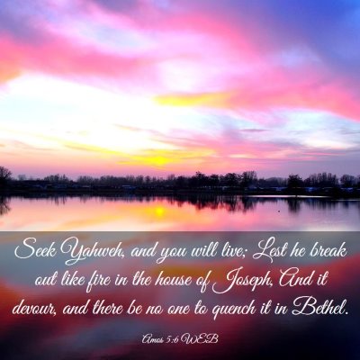 Picture 03 - Amos 5:6 WEB - Seek Yahweh, and you will live; Lest he break out - Bible Verse Picture