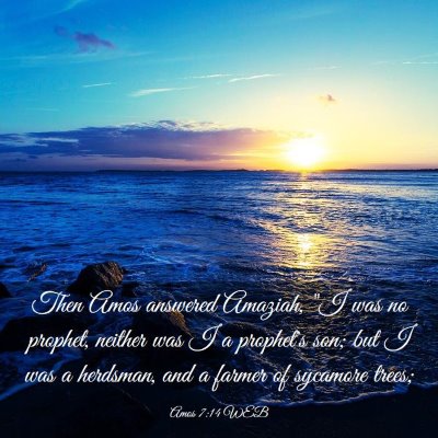 Picture 03 - Amos 7:14 WEB - Then Amos answered Amaziah, 
