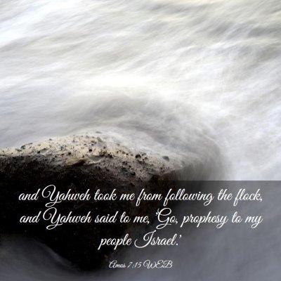 Picture 03 - Amos 7:15 WEB - and Yahweh took me from following the flock, and - Bible Verse Picture