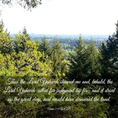 Picture 03 - Amos 7:4 WEB - Thus the Lord Yahweh showed me and, behold, the - Bible Verse Picture