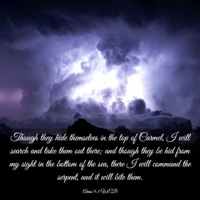Picture 03 - Amos 9:3 WEB - Though they hide themselves in the top of Carmel, - Bible Verse Picture