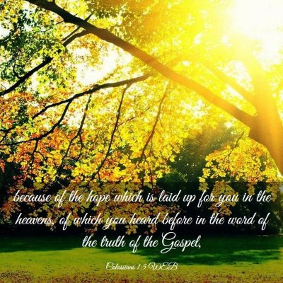 Picture 03 - Colossians 1:5 WEB - because of the hope which is laid up for you in - Bible Verse Picture